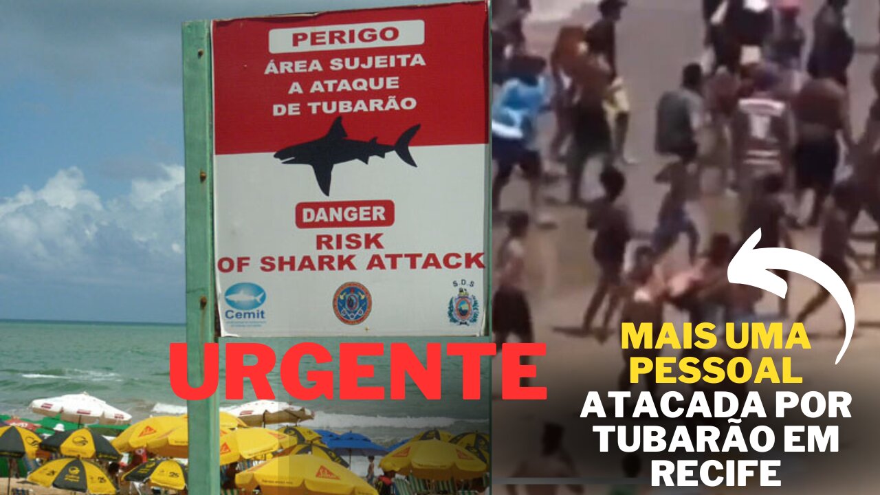 TUBARÃO EM RECIFE | 3º CASO EM 15 DIAS. uma mulher foi mordida no braço e foi socorrida pelo SAMU.