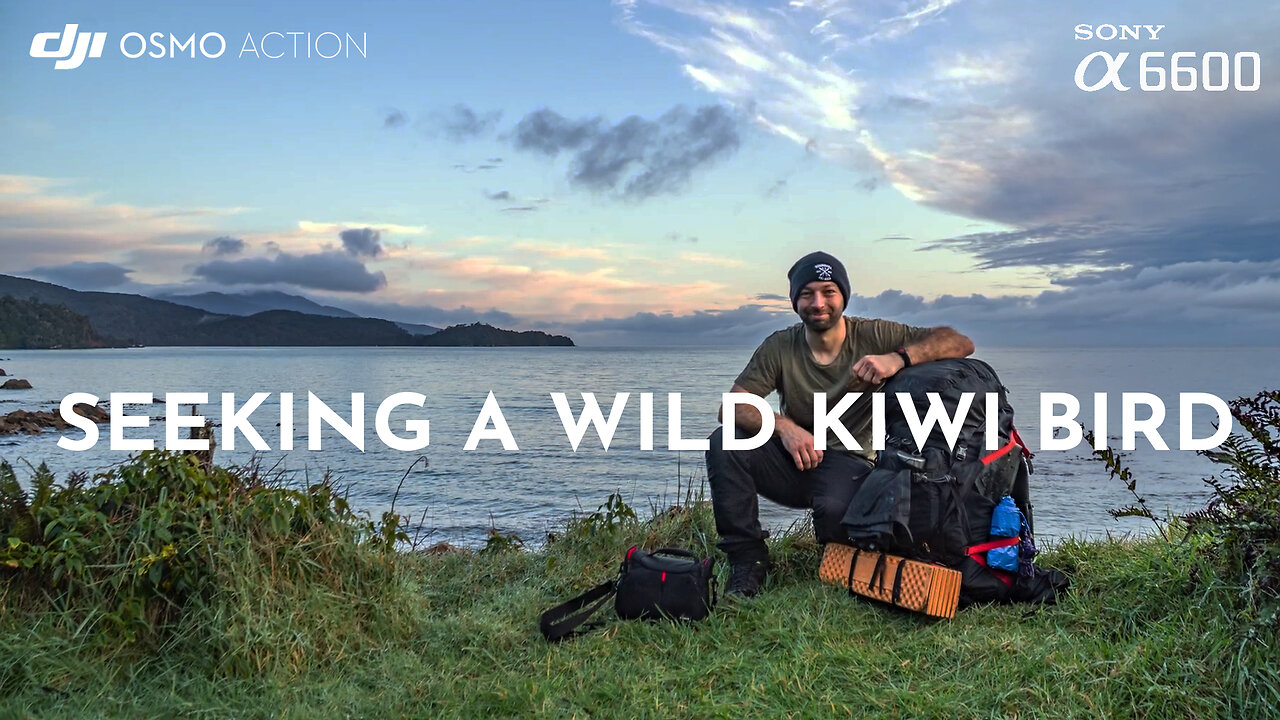 Seeking a Wild Kiwi | 3 day Solo Camping | Stewart Island | Winter 2022