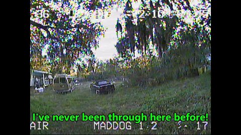 MadDog1 2 20200105 BelowTheTreeTops Challenge Part2