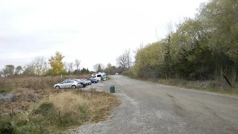 Bird Houses On The Trail In Oshawa