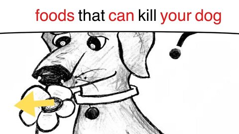 Types of foods that can kill your dog watch now