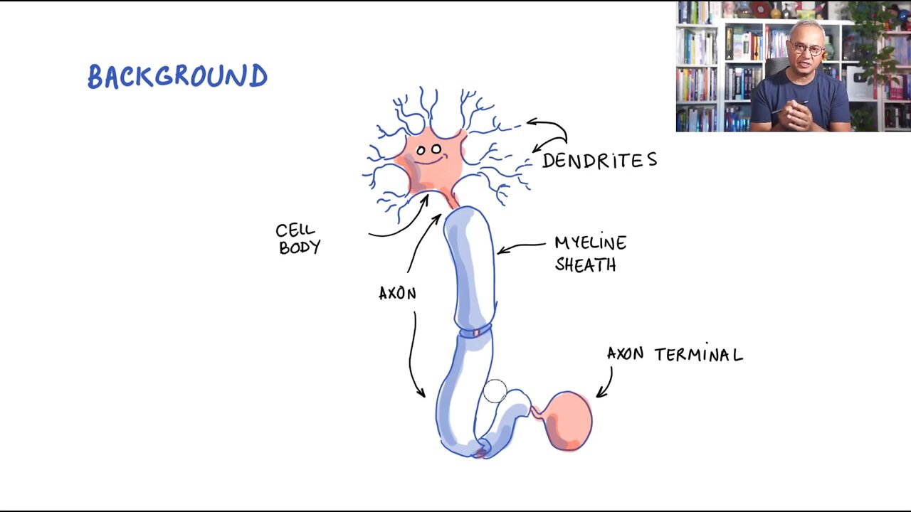 Multiple Sclerosis After mRNA COVID-19 Vaccines