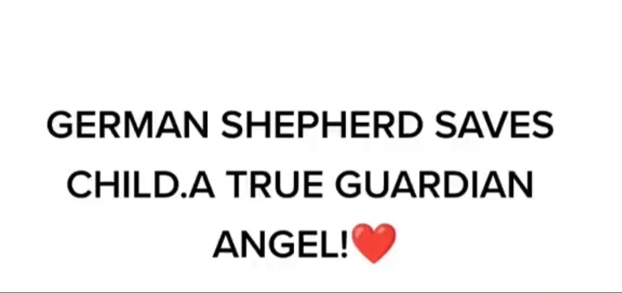 German shepherd saved Child True Guardian 🥺😍