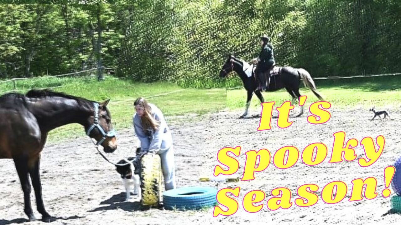 It's Spooky Season! Everyone Is Spooky!