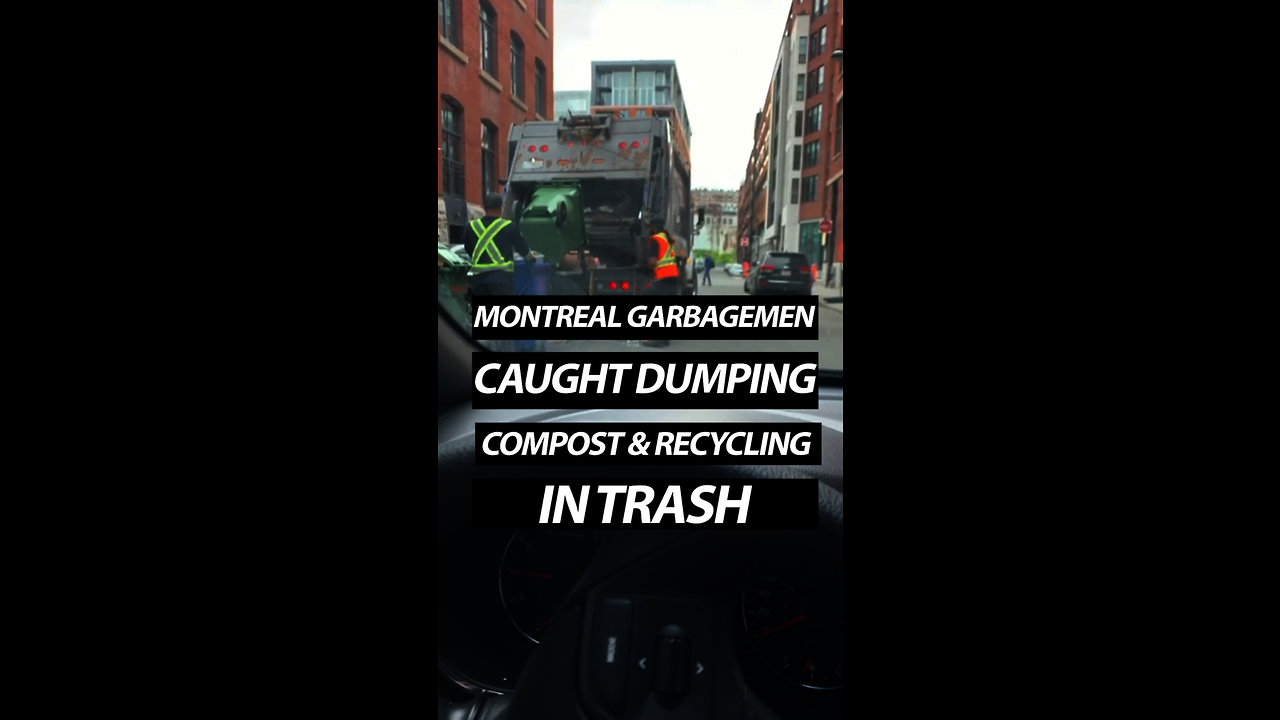 Montreal Garbagemen Dump Compost & Recycling In Trash