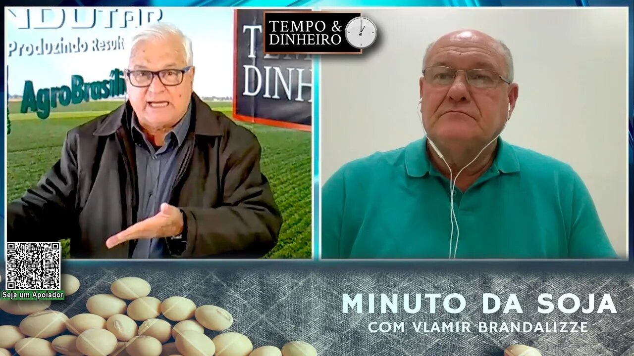 Milho escapando da geada