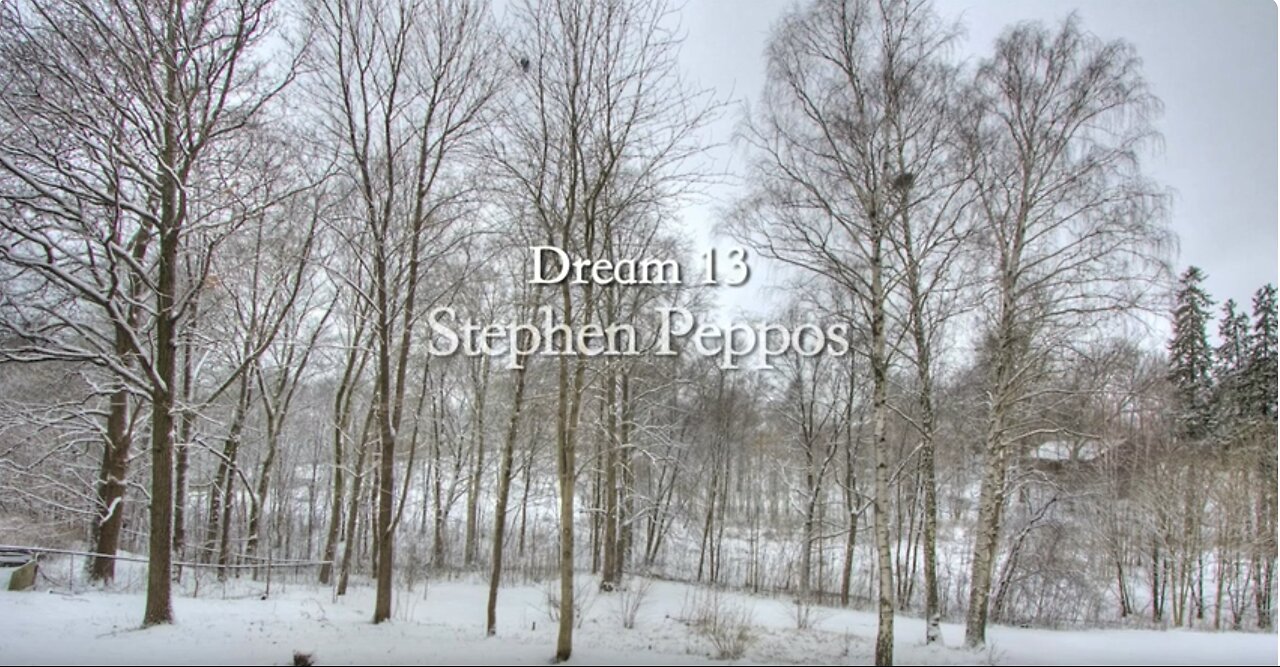 Stephen Peppos - Dream 13 - A year in 6 minutes 36 seconds