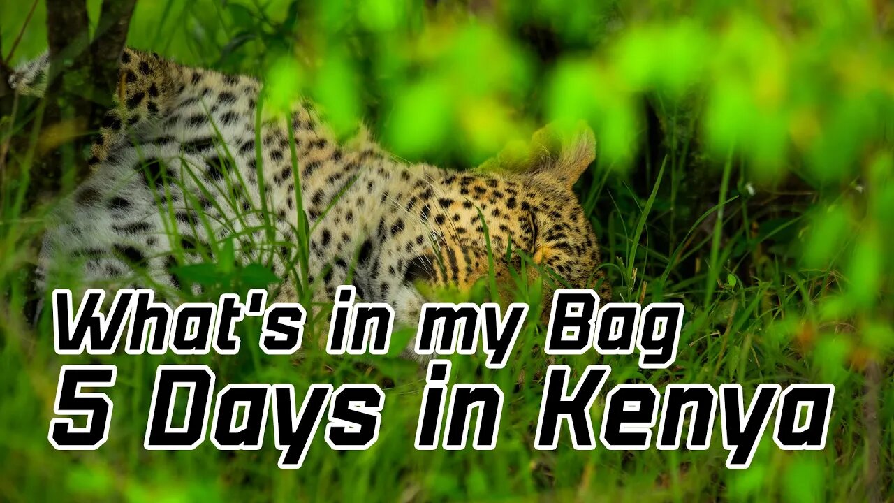 What's in my camera bag? | 5 Day Safari Edition