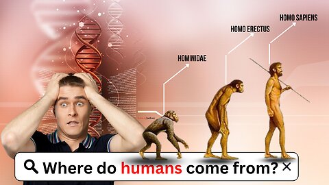 Where Do Humans Come From