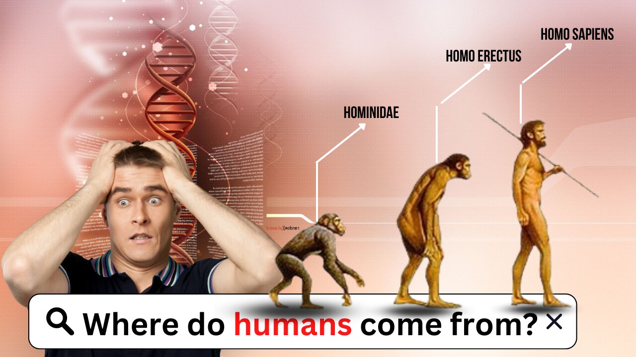 Where Do Humans Come From