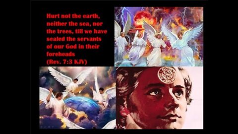 Hurt not the earth, neither the sea, nor the trees, till we have sealed the servants of our God