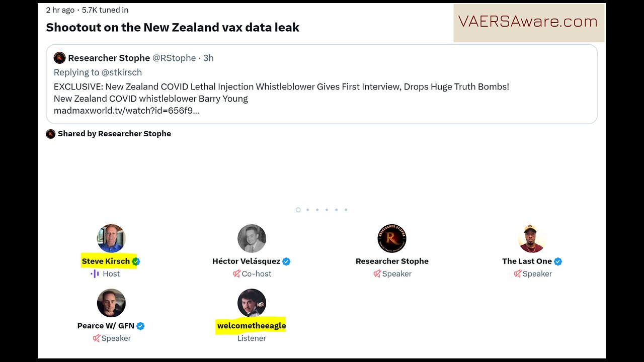 Steve Kirsch Validates The NZ Whistleblower's Dashboard On Twitter Spaces Dec 9.