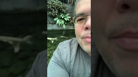 La gratitud de pasado