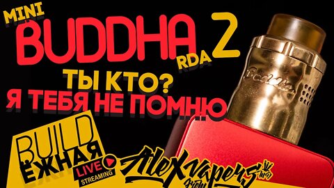 buildЁЖНАЯ l Mini Buddha 2 RDA - Кто ты? Я тебя не помню!