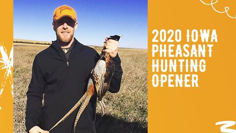 2020 Iowa Pheasant Hunting Opening Day