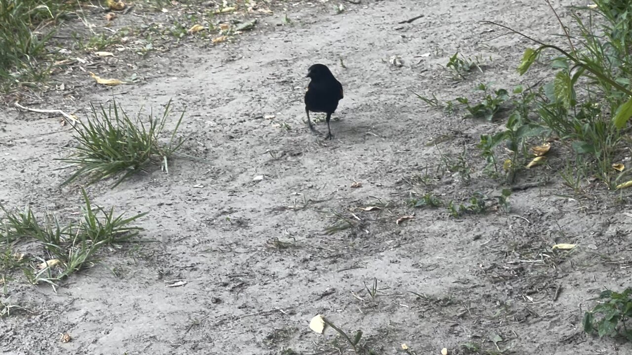 Close but no peanut for you 🤣😂