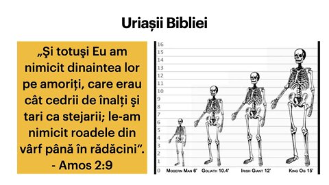 Daniel Brânzei: Uriașii strict necesari