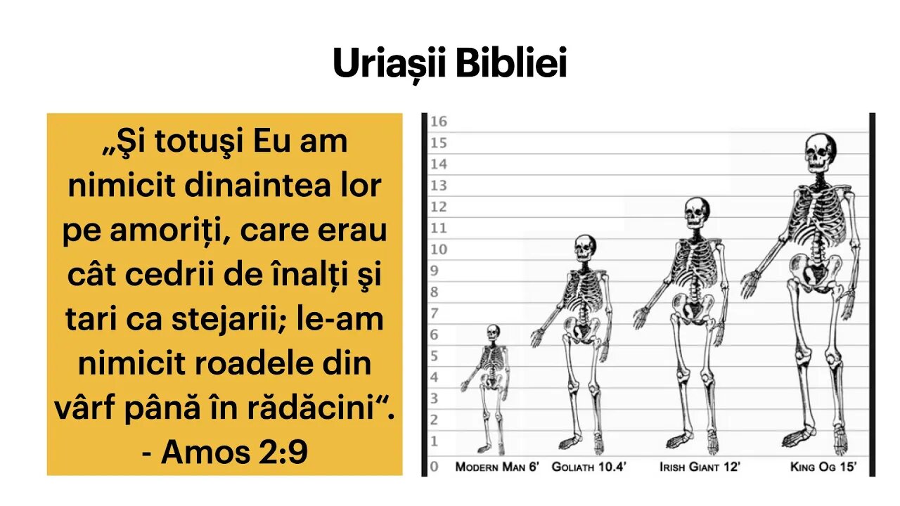 Daniel Brânzei: Uriașii strict necesari