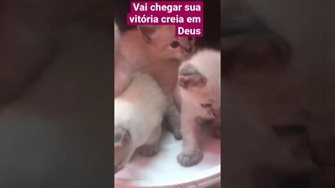 Vai chegar sua vitória !!