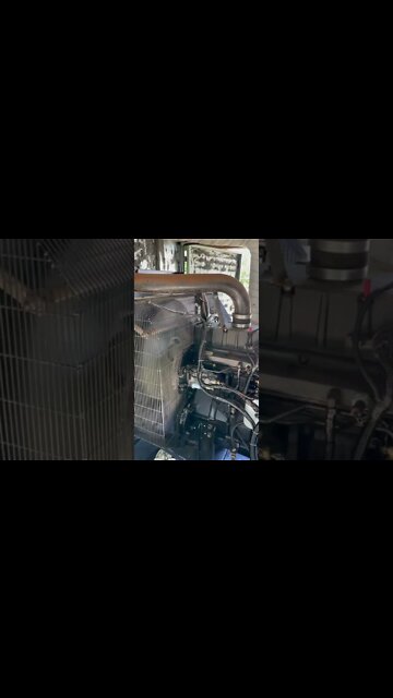 #shorts #2022 funny,prank,funjokes,dad jokes,funny memes,funny video,fun,laughing,funny animal,knock