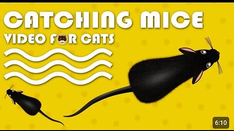 Cat Games - Catching Mice, Fun Entertainment Videos for Your Cat