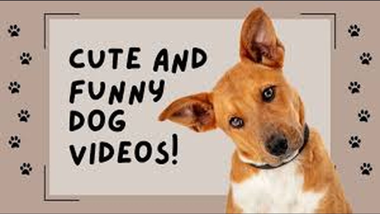 "Puppy Playtime Parodies: Dogs Just Wanna Have Fun!