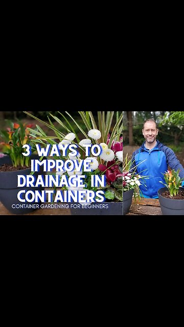 💧 3 Ways to Improve Drainage in Containers 💧 #Shorts