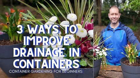 💧 3 Ways to Improve Drainage in Containers 💧 #Shorts