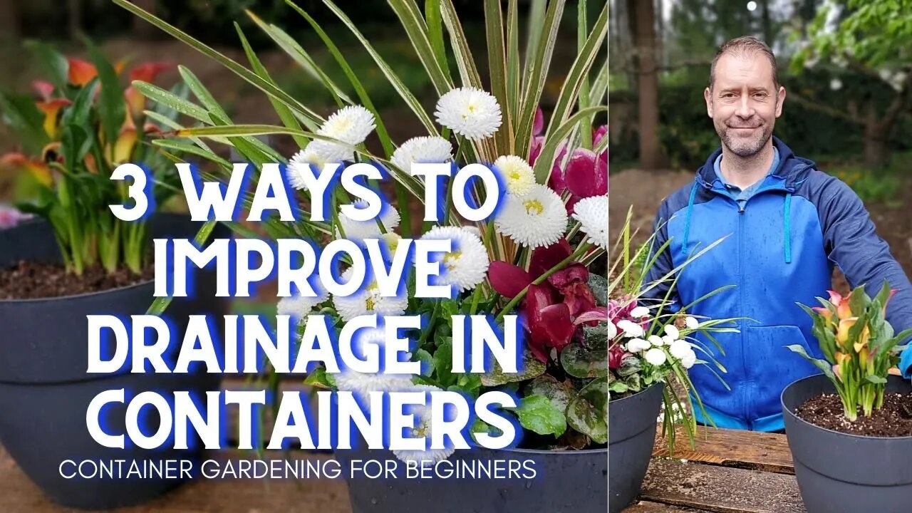 💧 3 Ways to Improve Drainage in Containers 💧 #Shorts