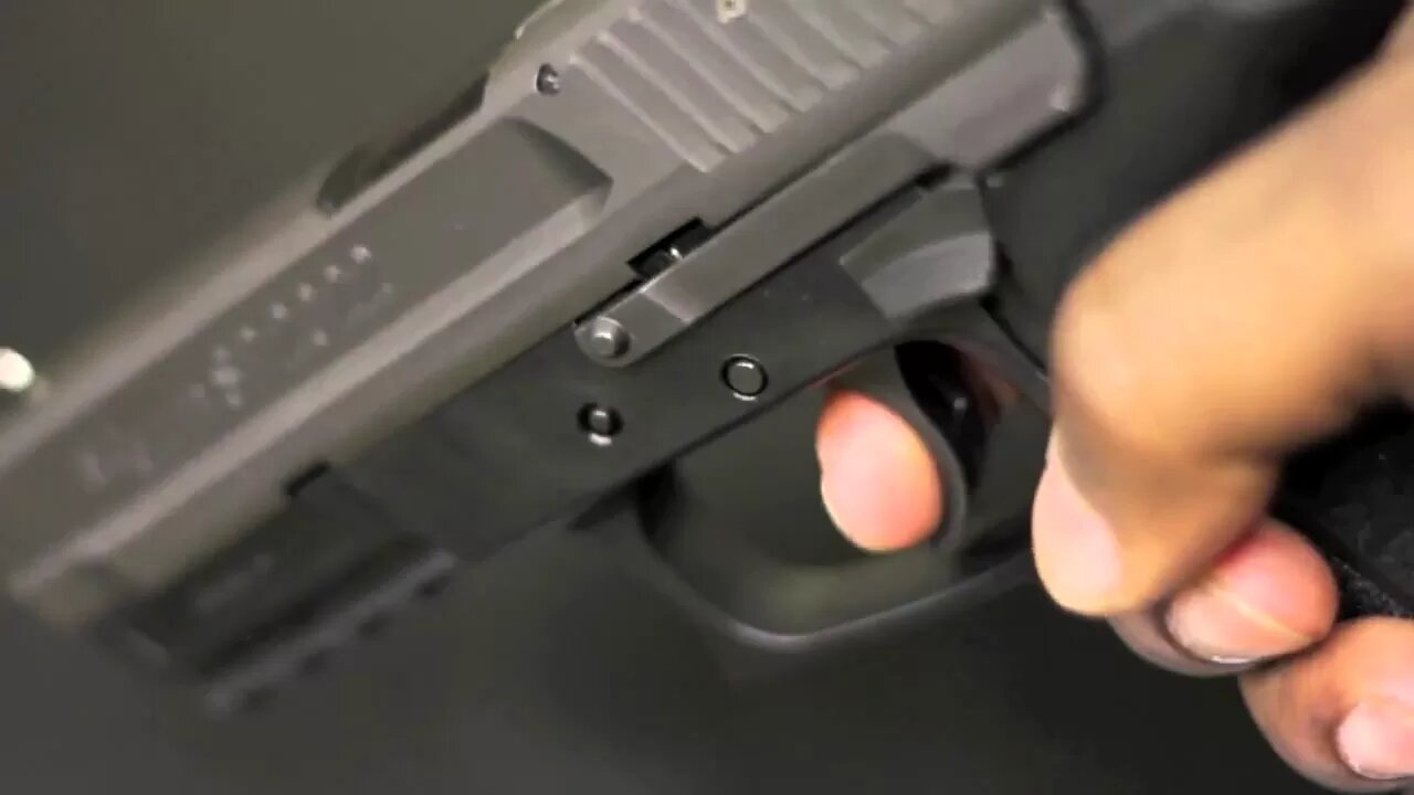 SIG SAUER 2022: SIGS BASTARD CHILD, OR IS IT?