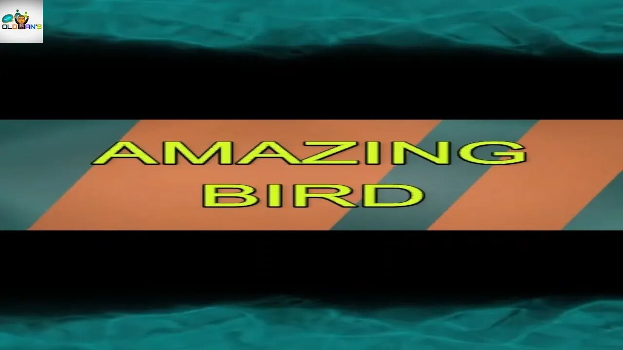 AMAZING BIRD TRICK #short #shorts