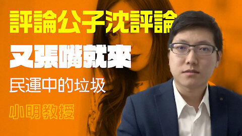 評論公子沈的評論第二集：趙薇事件