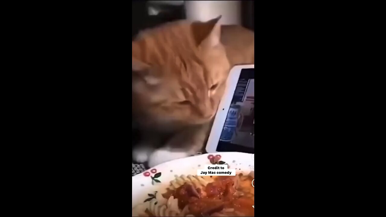 I don’t like it 🤣