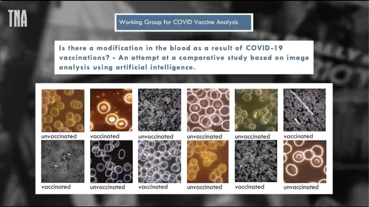 Dr. Mark Trozzi - Toxic Metals in Covid Shots