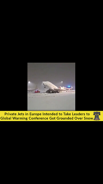 Private Jets in Europe Intended to Take Leaders to Global Warming Conference Got Grounded Over Snow