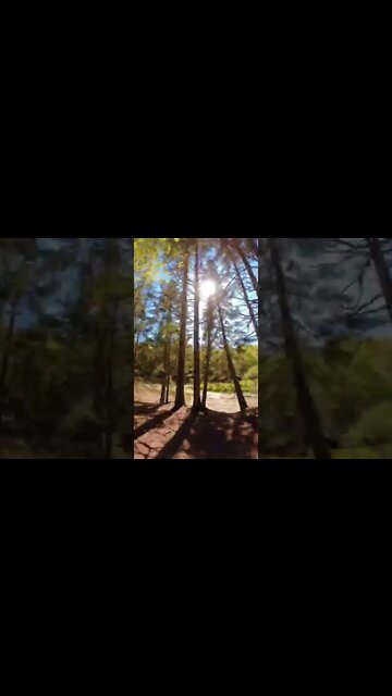 Timelapse hike in Canada
