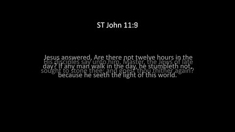 ST John Chapter 11