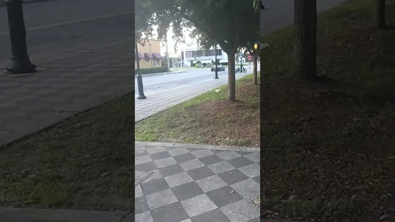 Rich #gangstalker & his dog