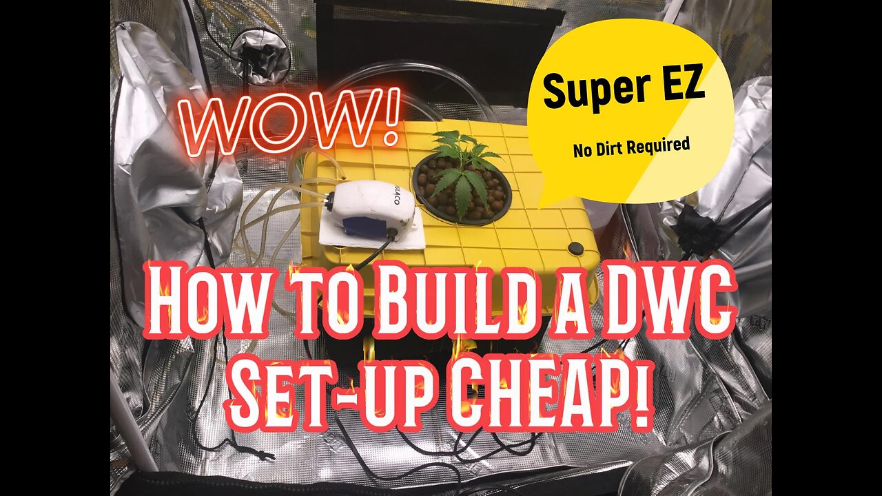 How to build a DWC system CHEAP!