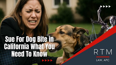 Sue For Dog Bite in California What You Need To Know