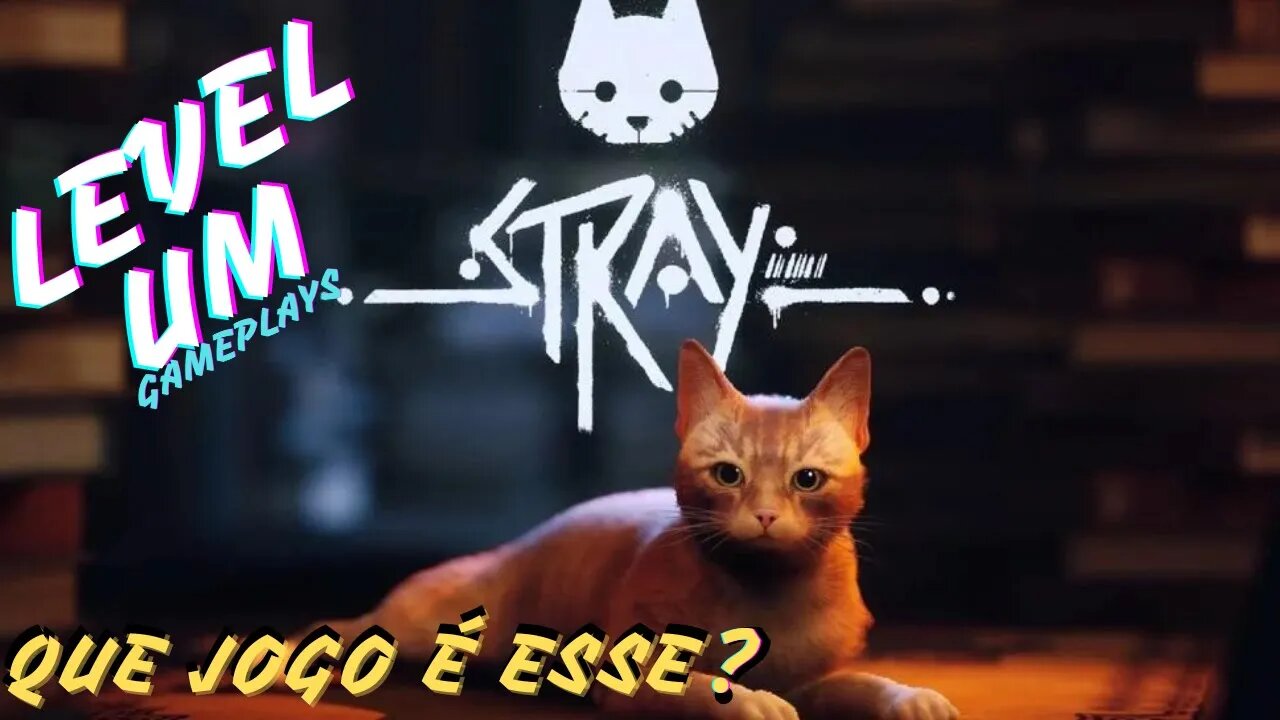 Stray Que jogo é Esse ?