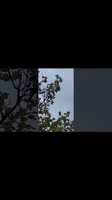 Give me back my Drone🇺🇸