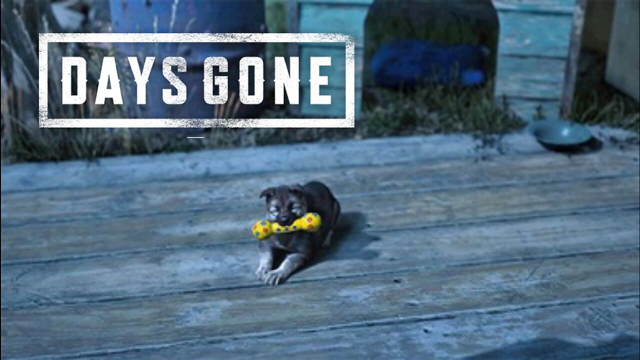 Days Gone: A new friend for a good friend in need)