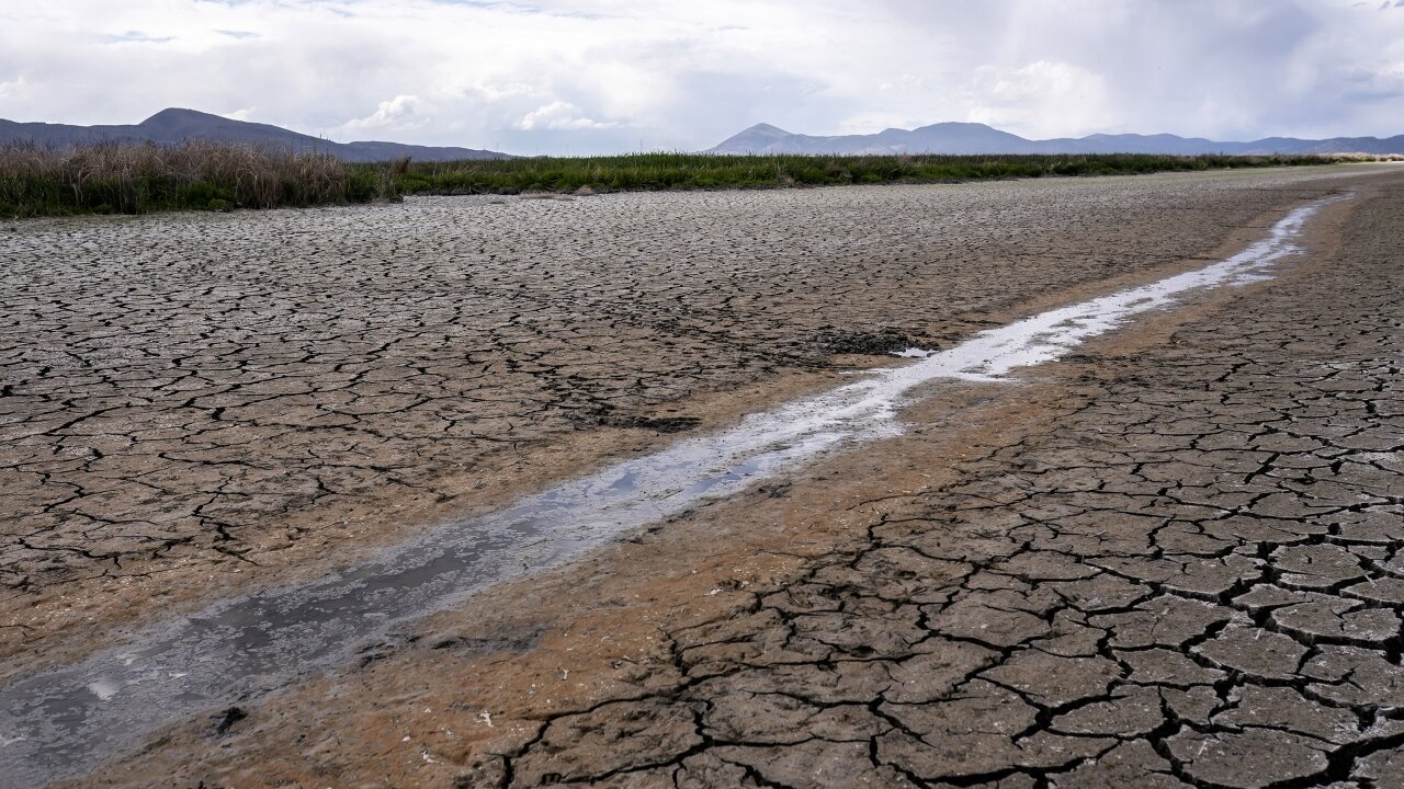 About 6M Californians Ordered To Cut Water Usage Amid Drought