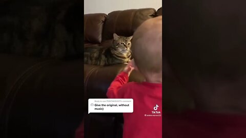 Cat is not amused by baby and looks at camera