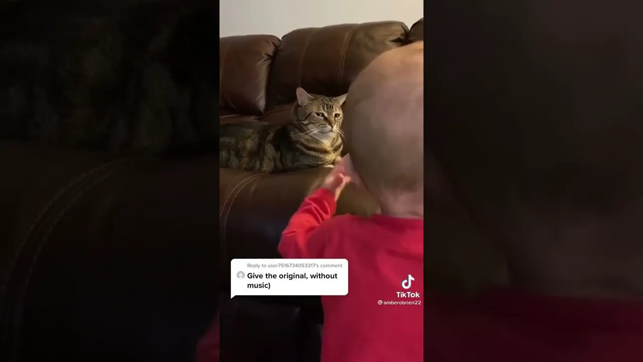 Cat is not amused by baby and looks at camera