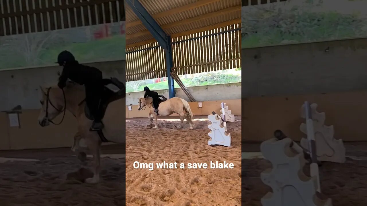 Amelia took off a stride early #viral #fail #failarmy #youtubeshorts #shortsfeed #fypシ #horsefails