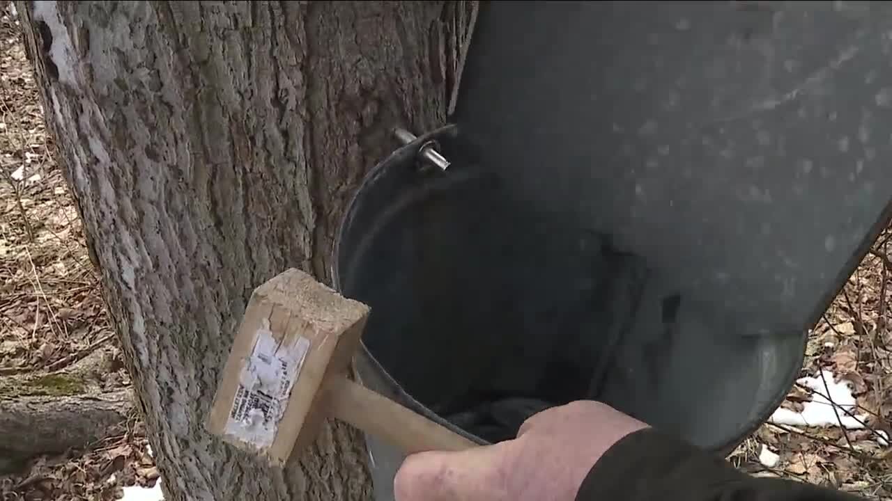 Lake Metroparks Farmpark kicks off its Maple Sugaring Weekends