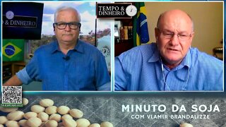 Milho melhorou e produtor não vende