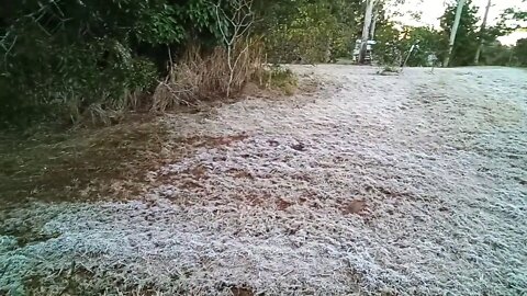 A bit cold at our place today, 0 Celsius, 17/07/2020